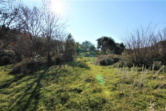Land for sale in Corfu Prefecture