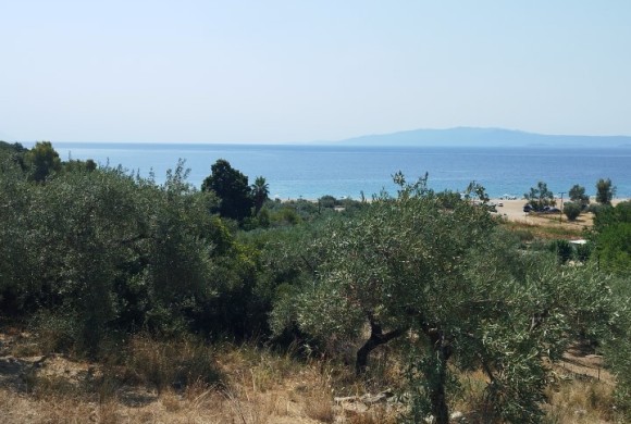 Land for sale in Chalkidiki