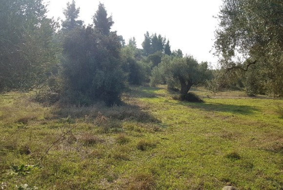Land for sale in Chalkidiki