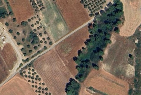 Land for sale in Chalkidiki