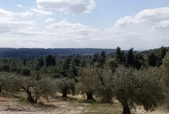Land for sale in Chalkidiki