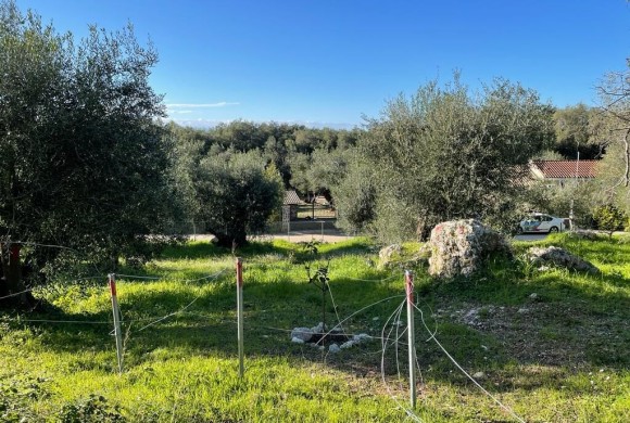 Land for sale in Corfu Prefecture