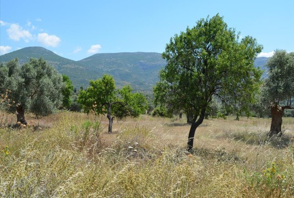 Land for sale in Evia