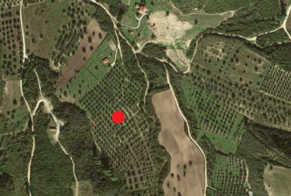 Land for sale in Chalkidiki