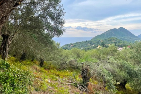 Land for sale in Corfu Prefecture
