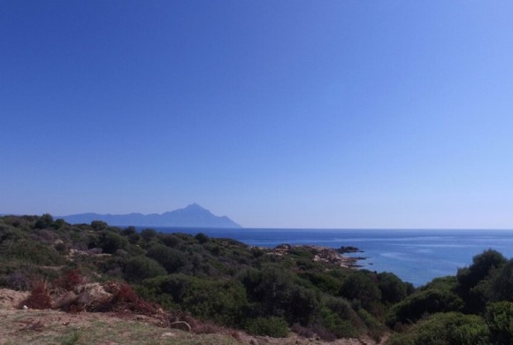 Land for sale in Chalkidiki