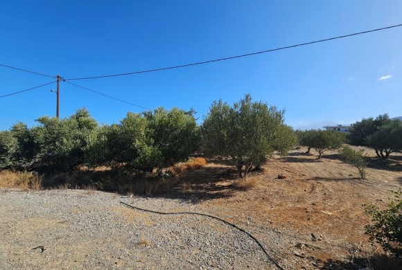Land for sale in Lasithi Prefecture
