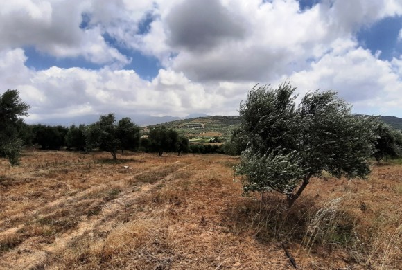 Land for sale in Heraklion Prefecture