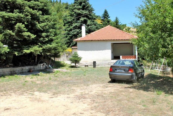 House for sale in Evia