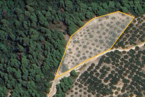 Land for sale in Chalkidiki