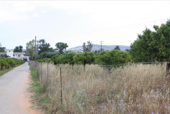 Land for sale in Chania Prefecture