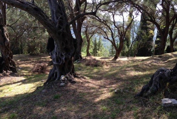 Land for sale in Corfu Prefecture