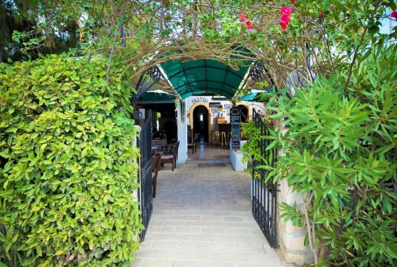Shop / Business for sale in Zante