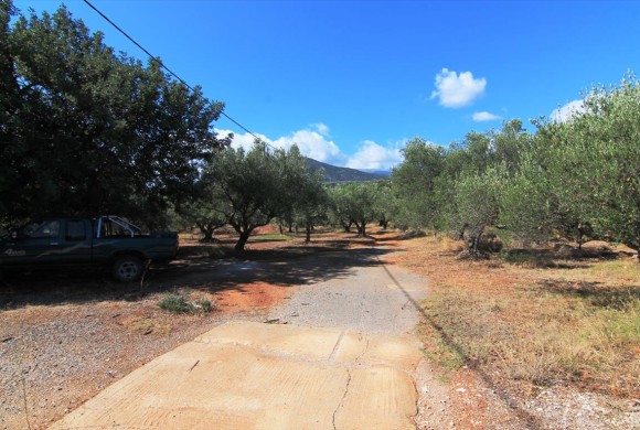 Land for sale in Lasithi Prefecture