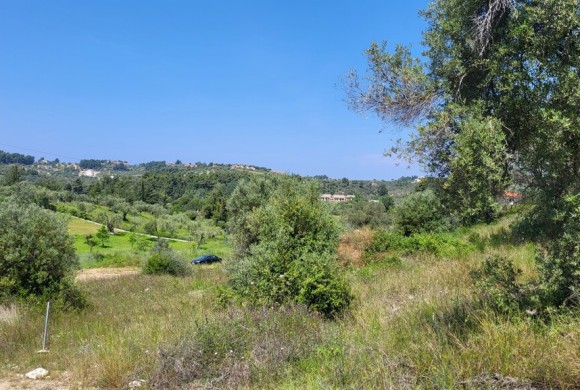 Land for sale in Chalkidiki