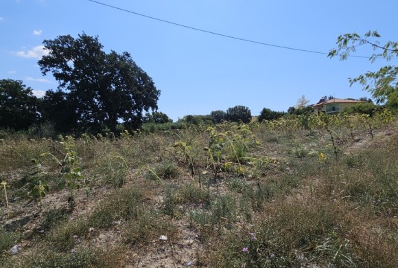 Land for sale in Chalkidiki