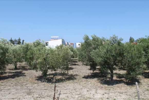 Land for sale in Chalkidiki