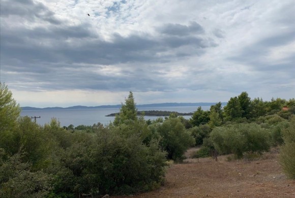 Land for sale in Chalkidiki