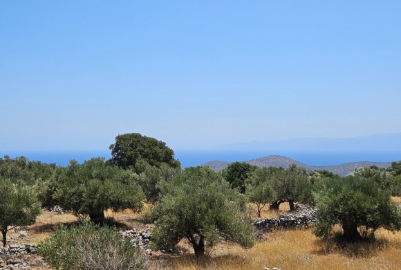 Land for sale in Lasithi Prefecture
