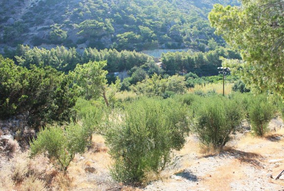 Land for sale in Lasithi Prefecture