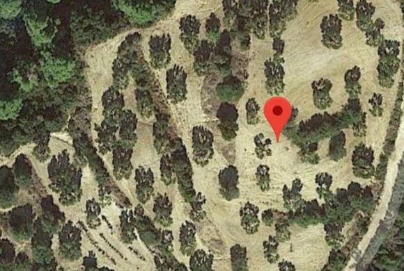 Land for sale in Chalkidiki