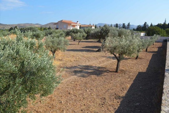 Land for sale in Rest of Attica