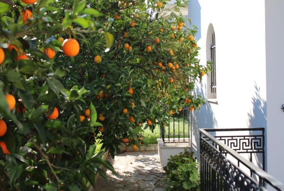 House for sale in Peloponnese