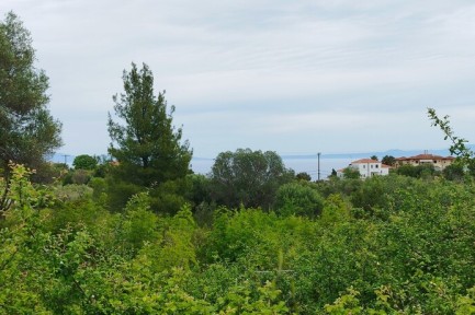 Land for sale in 
