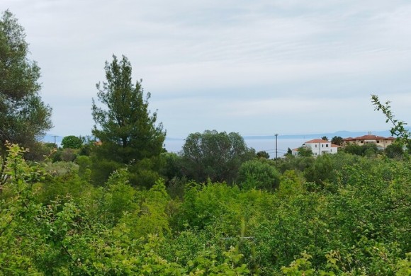 Land for sale in Chalkidiki
