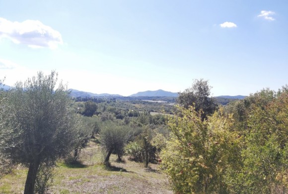 Land for sale in Corfu Prefecture