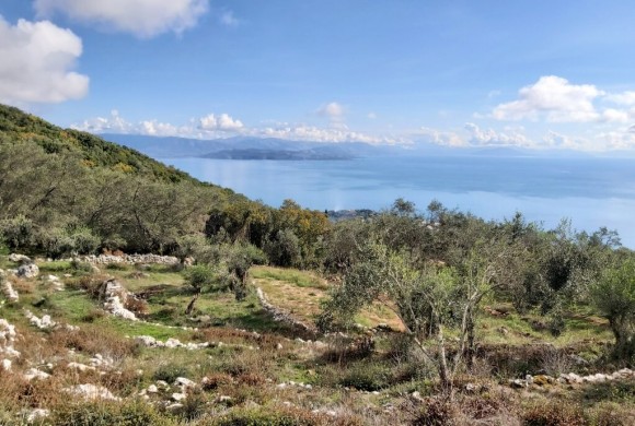 Land for sale in Corfu Prefecture