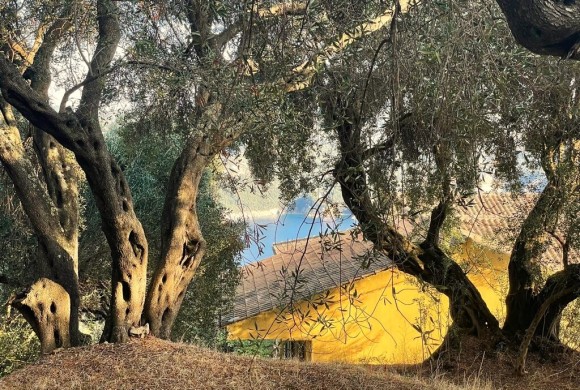 Land for sale in Corfu Prefecture