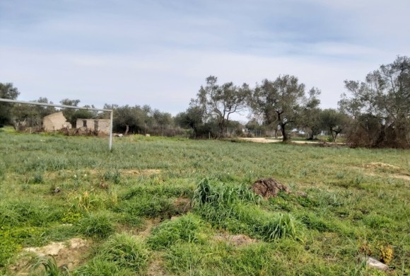 Land for sale in Corfu Prefecture