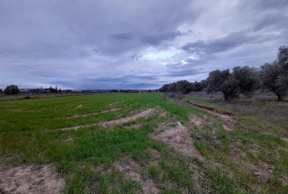 Land for sale in Suburbs