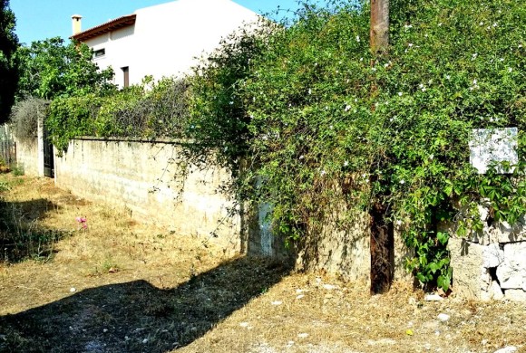 Land for sale in East