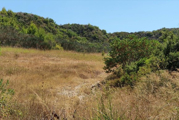 Land for sale in Chalkidiki