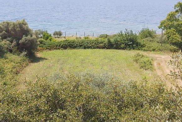 Land for sale in Chalkidiki
