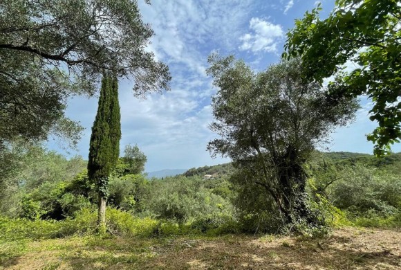 Land for sale in Corfu Prefecture