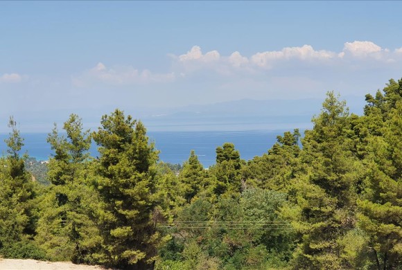 Land for sale in Chalkidiki