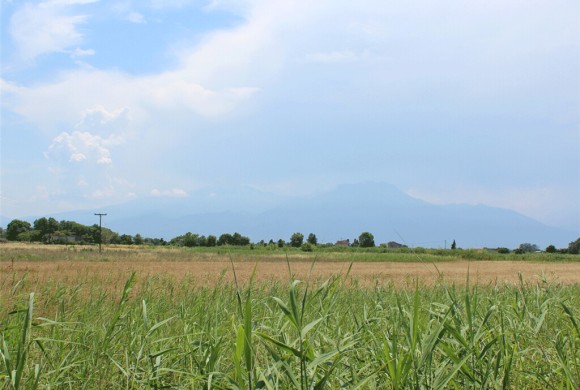 Land for sale in Pieria Prefecture