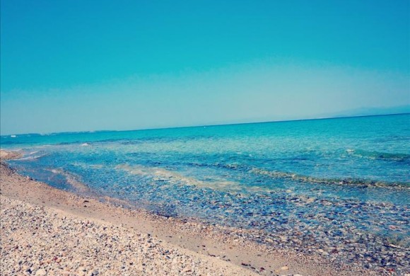 Land for sale in Chalkidiki