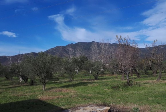 Land for sale in Chalkidiki