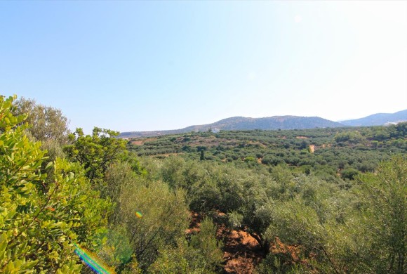 Land for sale in Lasithi Prefecture