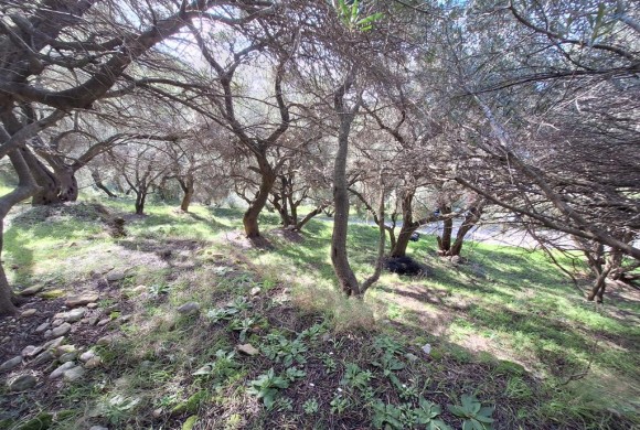 Land for sale in Corfu Prefecture