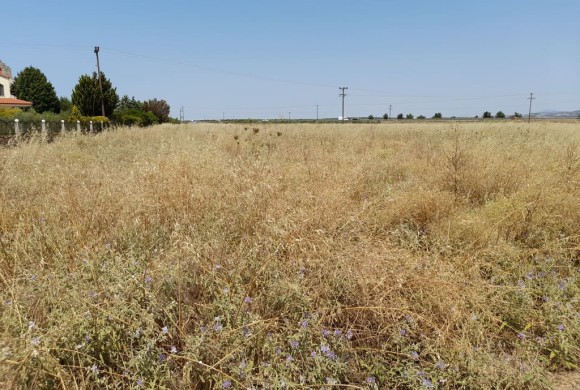 Land for sale in Chalkidiki