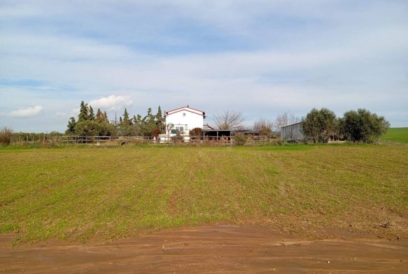 House for sale in Chalkidiki