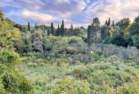 Land for sale in Corfu Prefecture