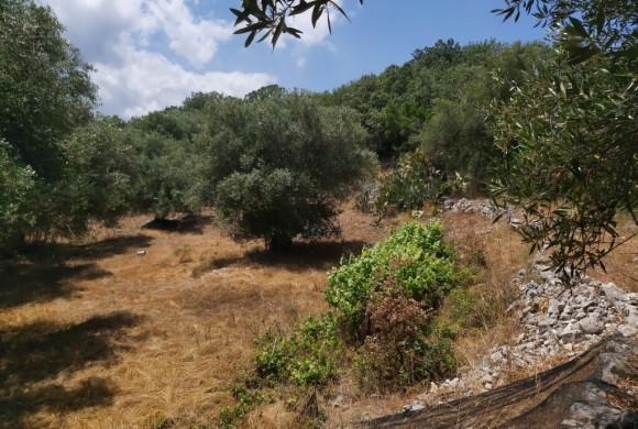 Land for sale in Corfu Prefecture