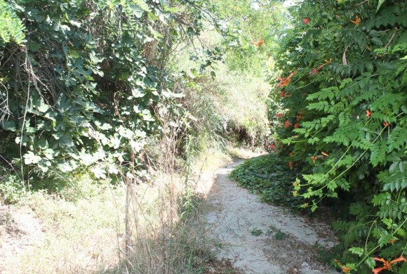 Land for sale in Chalkidiki