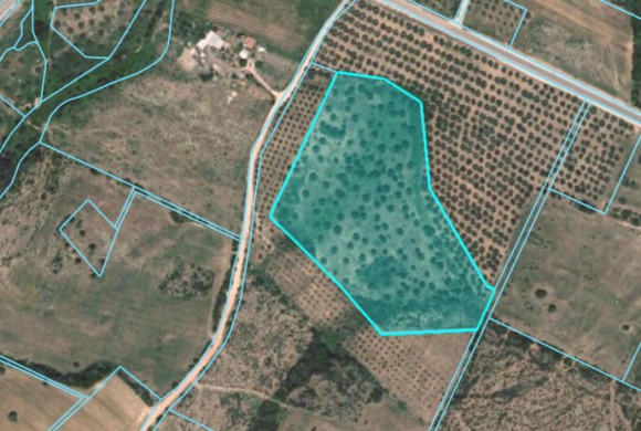 Land for sale in Chalkidiki